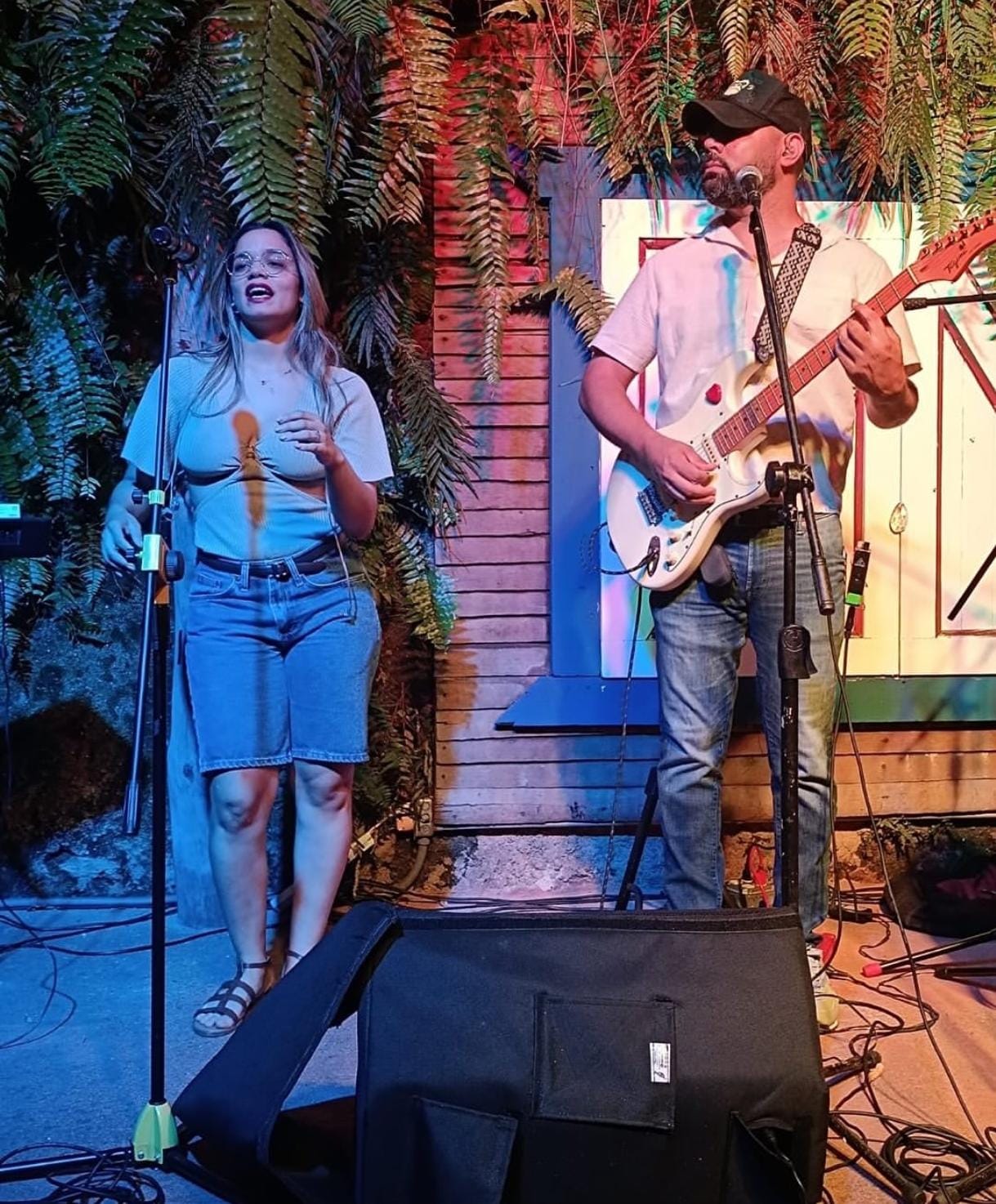 Show en vivo de BretonBand: Merengue y energía total.