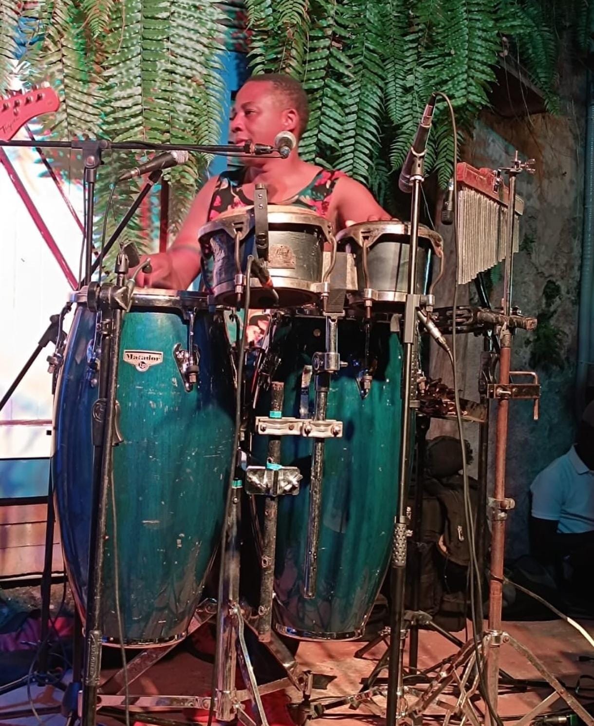 Público disfrutando de la mejor música en vivo dominicana.